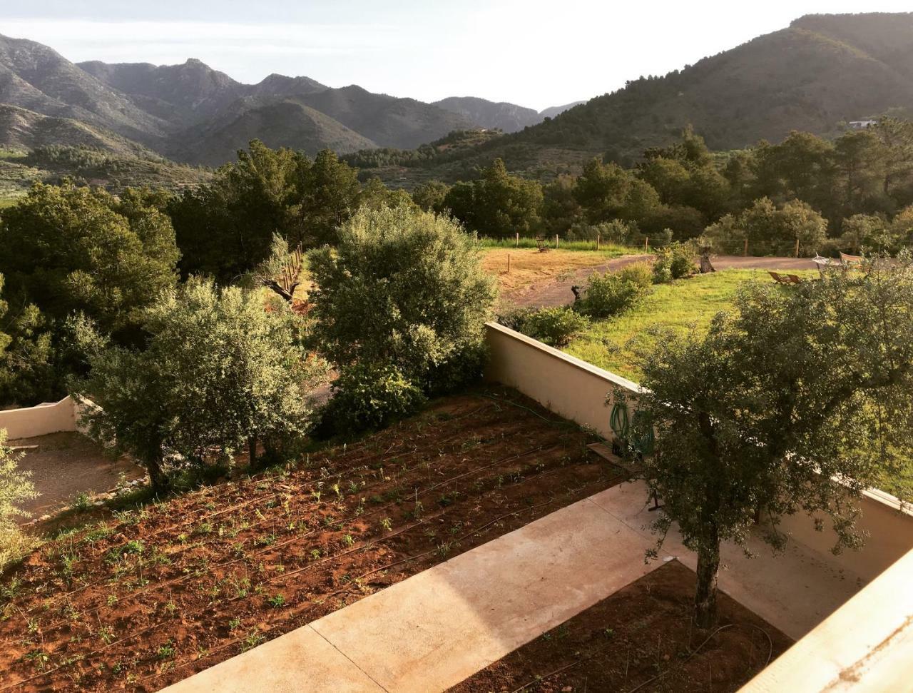 Mar De Fulles Otel Alfondeguilla Dış mekan fotoğraf