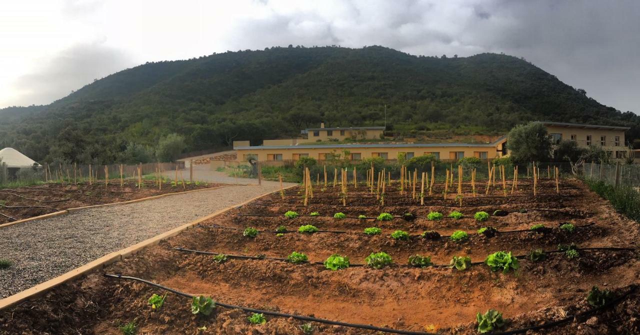 Mar De Fulles Otel Alfondeguilla Dış mekan fotoğraf
